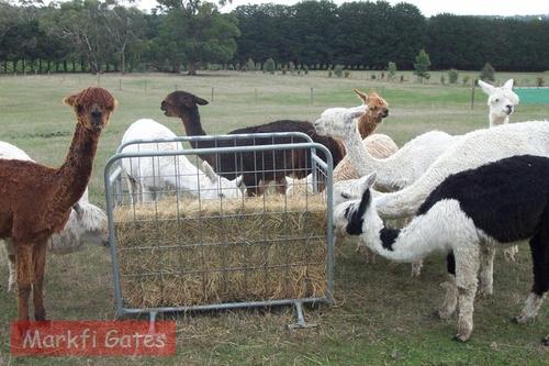 Alpaca Feeders